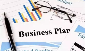 你這樣的商業(yè)計(jì)劃書(shū),一秒鐘就被投資人pass掉了